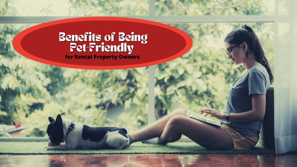 The Benefits of Being Pet-Friendly for Jacksonville Rental Property Owners - Article Banner